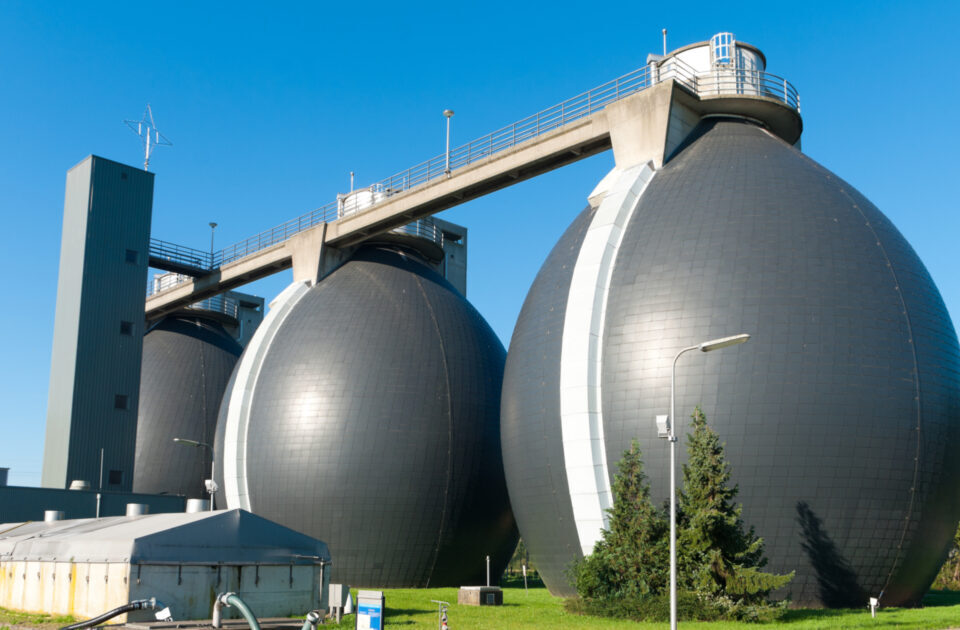 Egg-shaped anaerobic digesters at a treatment plant